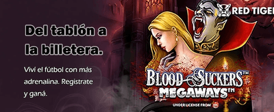 Casino Betwinner Online